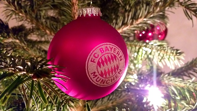 因此他希望 因此他希望