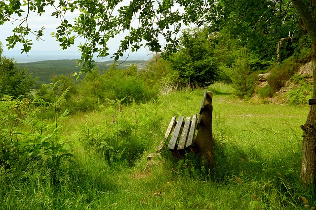 上扮演关键 上扮演关键