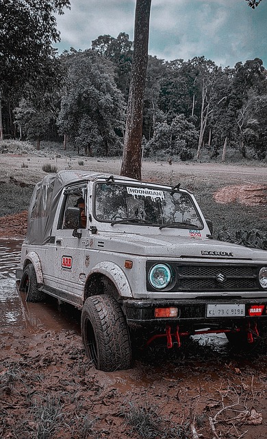 德甲2025年度积分榜：拜仁26分居首，药厂次席，.