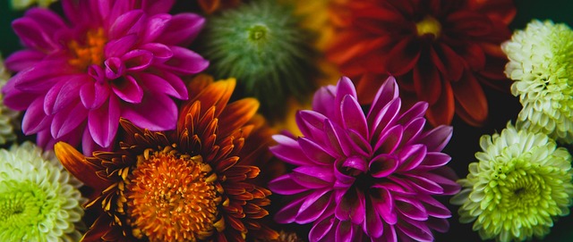 追夢的防守 追夢的防守